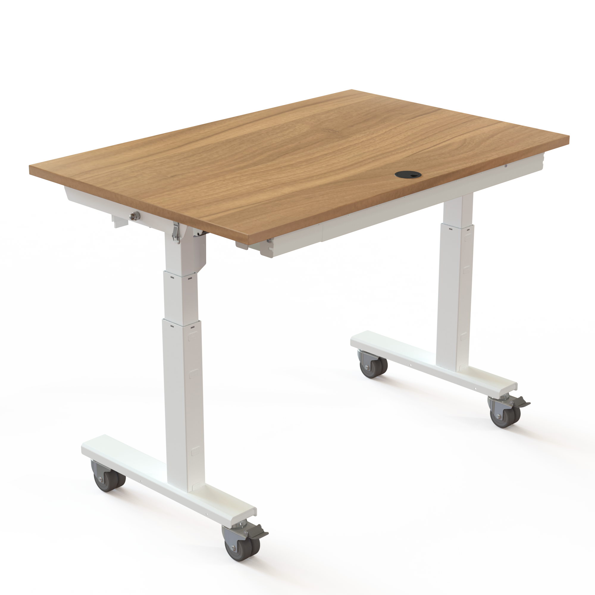 Electric Adjustable Desk | 120x80 cm | Walnut with white frame