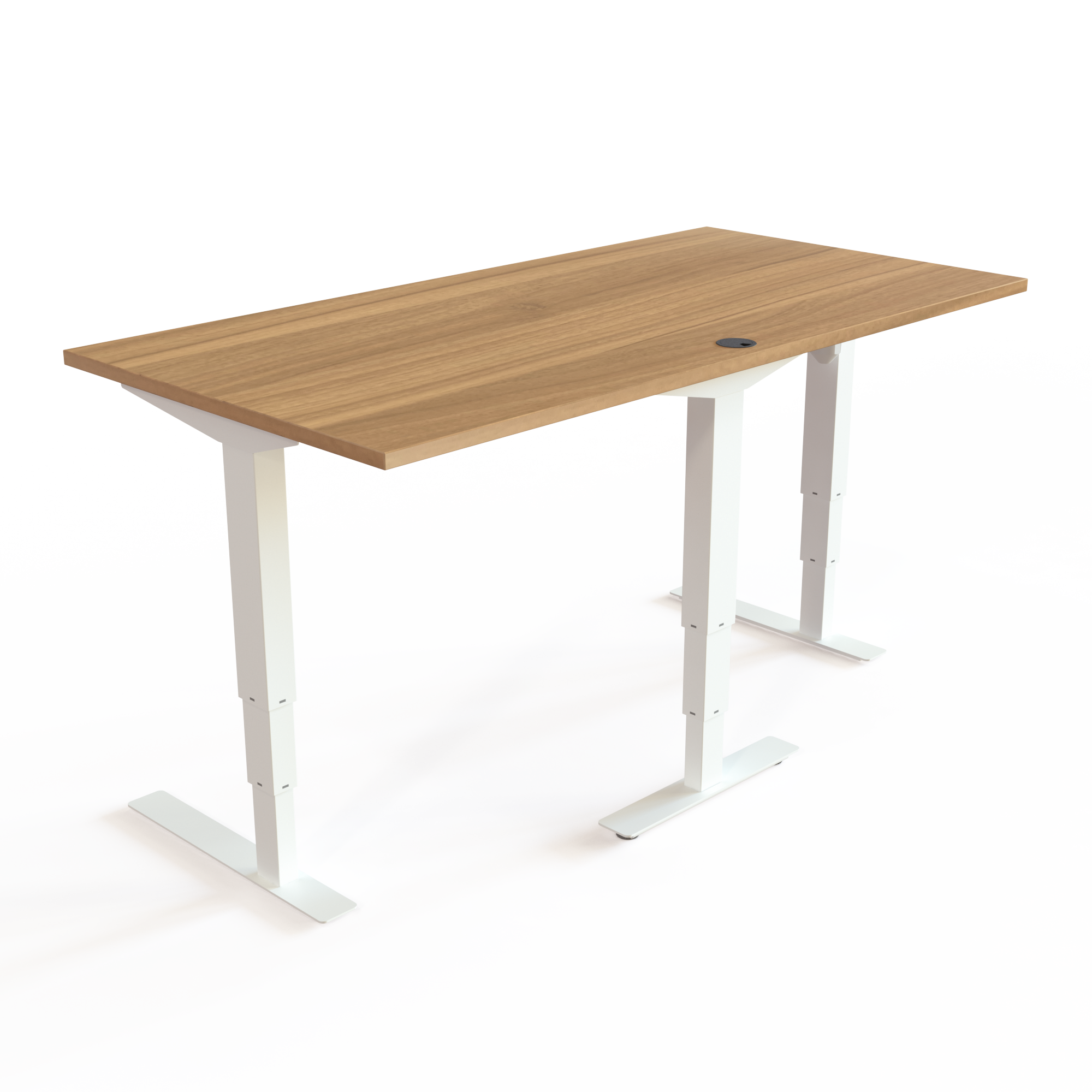 Electric Adjustable Desk | 160x80 cm | Walnut with white frame