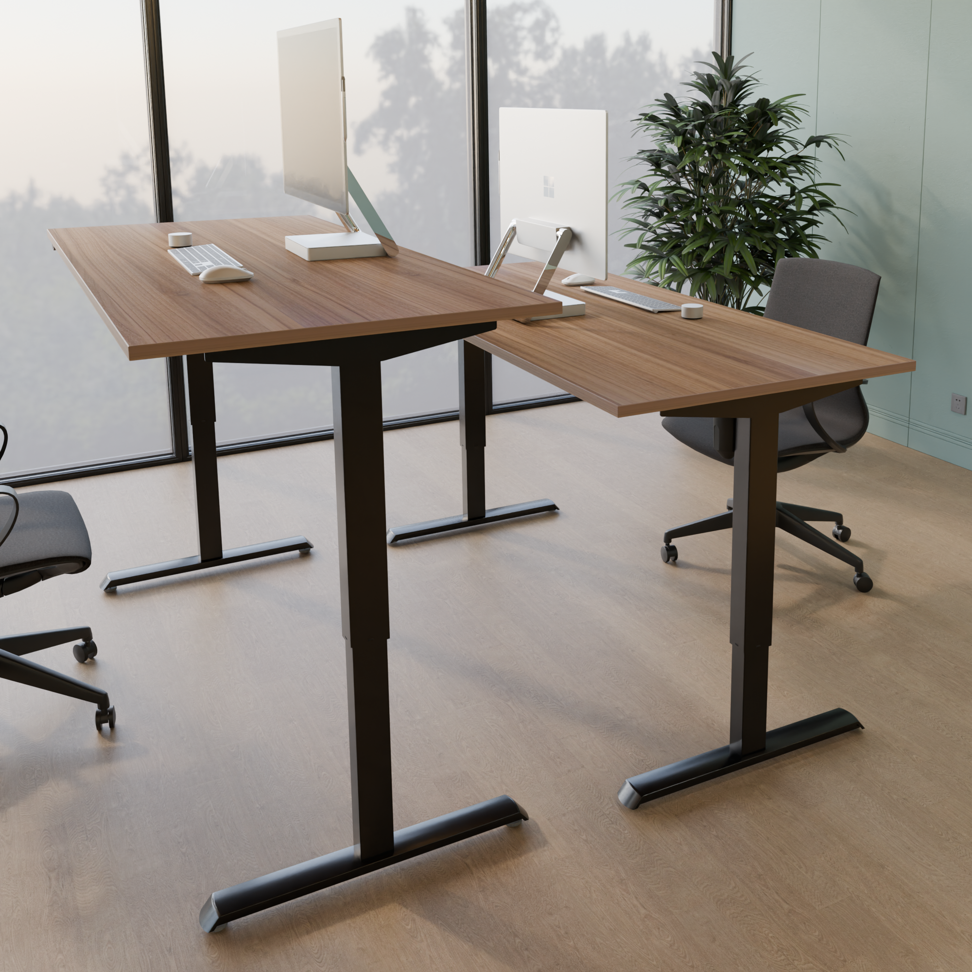 Electric Adjustable Desk | 160x80 cm | Walnut with black frame
